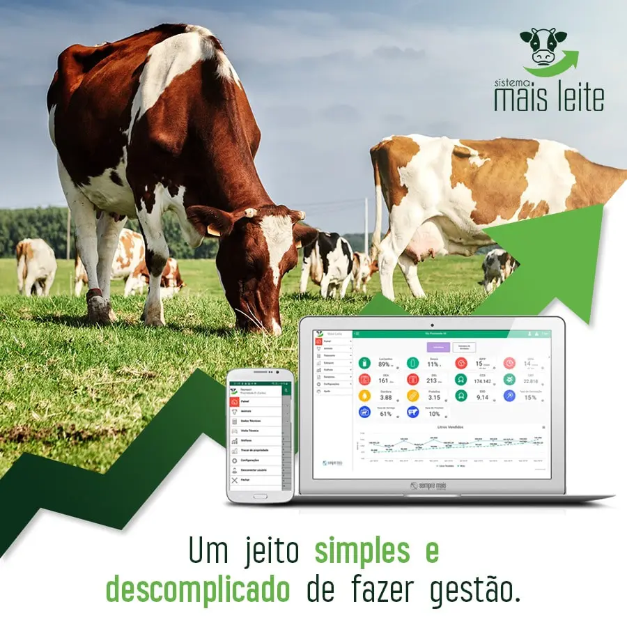 leite de vaca