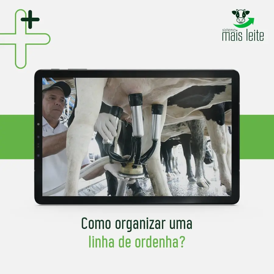 linha de ordenha