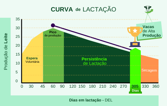 vacas de alta produção