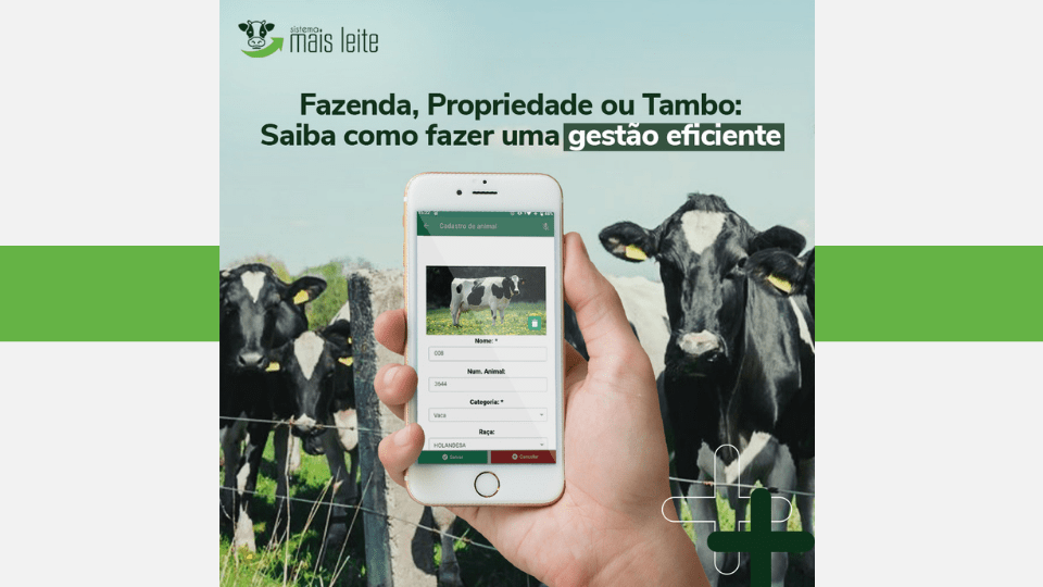 propriedade leiteira