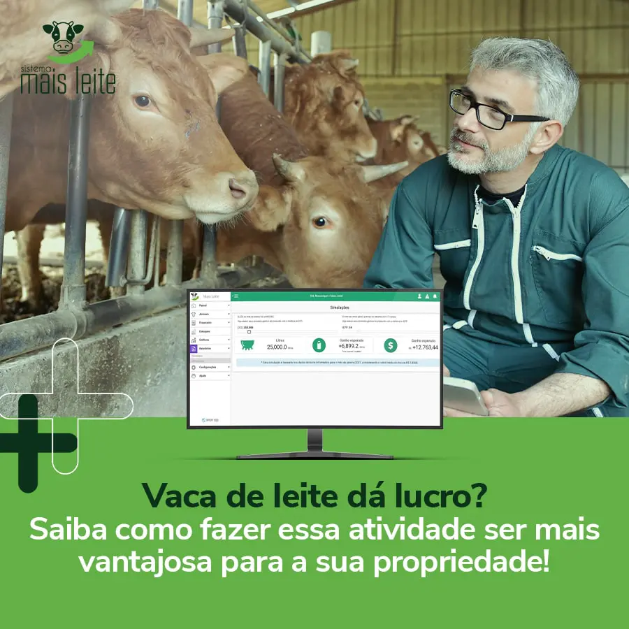 vaca de leite