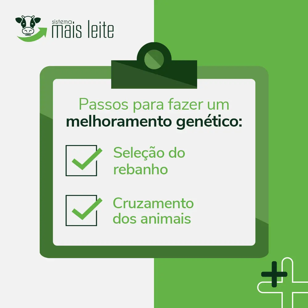 melhoramentogenético em bovinos de leite