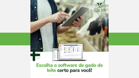 software de gado de leite