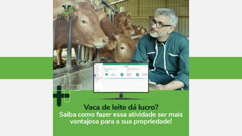 vaca de leite